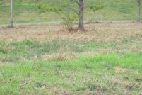 Homesite for sale in Jones County, Mississippi