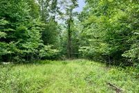 Undeveloped Land in Nicholas County, West Virginia