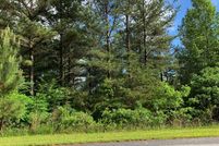 Undeveloped Land in Union County, Georgia