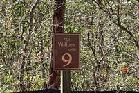 Undeveloped Land in Towns County, Georgia