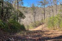 Undeveloped Land in Towns County, Georgia