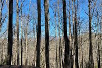 Undeveloped Land in Towns County, Georgia