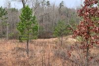 Undeveloped Land in Union County, Georgia