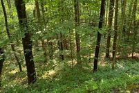 Undeveloped Land in Clay County, North Carolina