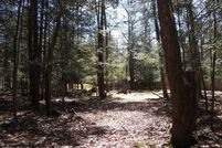 Undeveloped Land in Wayne County, Pennsylvania