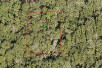 Undeveloped Land in Citrus County, Florida