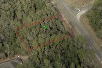 Undeveloped Land in Citrus County, Florida