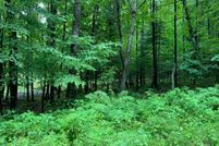 Land in Forest County, Wisconsin
