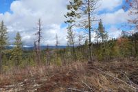 Undeveloped Land in Spokane County, Washington