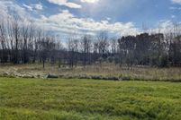 Undeveloped Land in Livingston County, Michigan