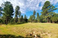 Undeveloped Land in Custer County, South Dakota