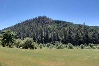 Undeveloped Land in Douglas County, Oregon