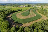Undeveloped Land in Vernon County, Wisconsin
