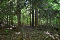 Land in Elk County, Pennsylvania
