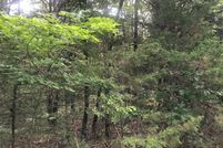 Undeveloped Land in Jefferson County, Missouri