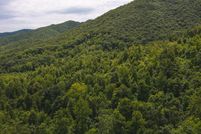 Hunting Property in Patrick County, Virginia