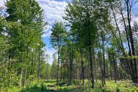 Timberland Property in Saint Lawrence County, New York