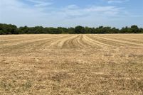 Undeveloped Land for sale in Grayson County, Texas