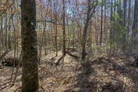 Undeveloped Land for sale in Miller County, Arkansas