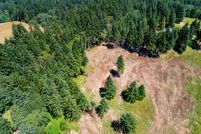 Undeveloped Land in Lane County, Oregon