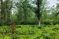 Undeveloped Land in Itasca County, Minnesota
