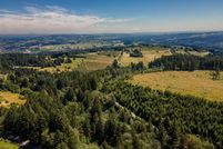 Undeveloped Land in Washington County, Oregon