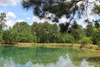 Timberland Property in Montgomery County, Texas