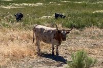 Land in Malheur County, Oregon