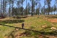 Undeveloped Land in Gilmer County, Georgia