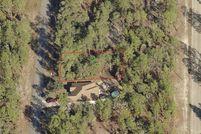 Undeveloped Land in Citrus County, Florida