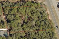 Undeveloped Land in Citrus County, Florida