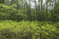 Undeveloped Land in Schuylkill County, Pennsylvania