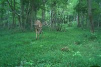Recreational Property in Meigs County, Ohio