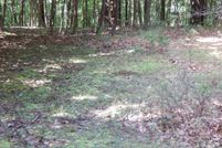 Undeveloped Land in Berkeley County, West Virginia