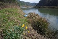 Land in Lincoln County, Oregon