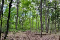 Land in Delta County, Michigan