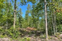Undeveloped Land in Schoolcraft County, Michigan