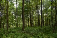 Land in Butler County, Pennsylvania