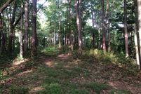 Timberland Property in Vinton County, Ohio