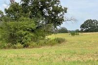 Timberland Property in Henderson County, Texas