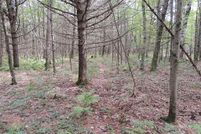Undeveloped Land in Jackson County, Wisconsin