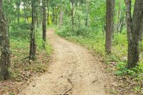 Undeveloped Land in Marquette County, Wisconsin