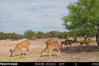 Recreational Property in Schleicher County, Texas