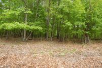 Undeveloped Land in Morgan County, West Virginia
