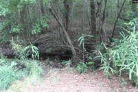 Undeveloped Land in Orangeburg County, South Carolina