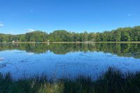 Undeveloped Land in Osceola County, Michigan