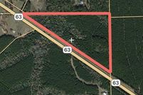 Undeveloped Land in Angelina County, Texas