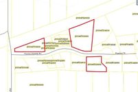 Undeveloped Land in Ashland County, Wisconsin