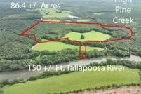 Undeveloped Land in Chambers County, Alabama