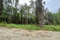 Undeveloped Land in Kenai Peninsula Borough, Alaska